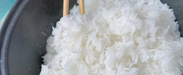 ST25 SỮA NON LÚA TÔM