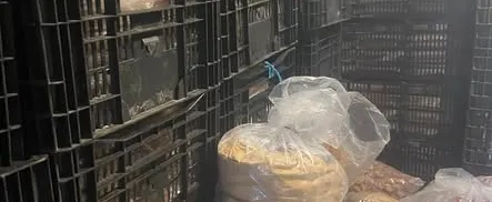 Hồng treo gió Đà Lạt