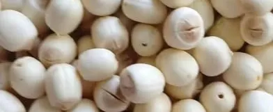 Hạt sen Huế đầu mùa
