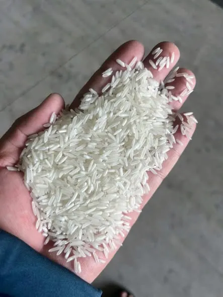 ST25 SỮA NON LÚA TÔM