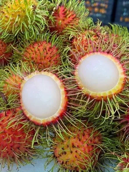 Tìm sỉ uy tín chôm chôm Thái